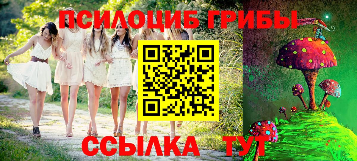 Псилоцибиновые грибы GOLDEN TEACHER  Вход с VPN  Медногорск 